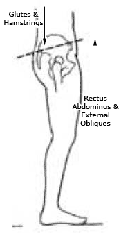 Rotated Pelvis