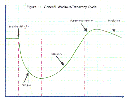 supercompensationcurve.gif_445x342